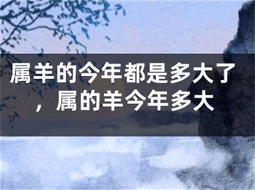 属羊的今年都是多大了，属的羊今年多大
