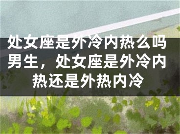 处女座是外冷内热么吗男生，处女座是外冷内热还是外热内冷