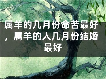 属羊的几月份命苦最好，属羊的人几月份结婚最好