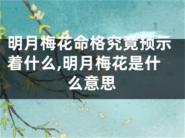 明月梅花命格究竟预示着什么,明月梅花是什么意思