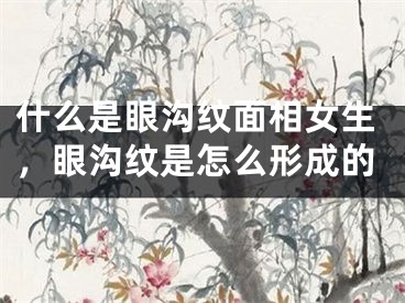 什么是眼沟纹面相女生，眼沟纹是怎么形成的