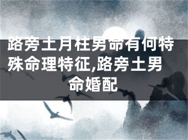 路旁土月柱男命有何特殊命理特征,路旁土男命婚配
