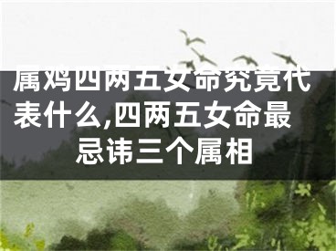 属鸡四两五女命究竟代表什么,四两五女命最忌讳三个属相