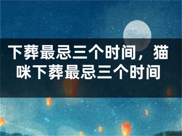 下葬最忌三个时间，猫咪下葬最忌三个时间