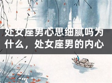 处女座男心思细腻吗为什么，处女座男的内心