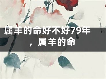 属羊的命好不好79年，属羊的命