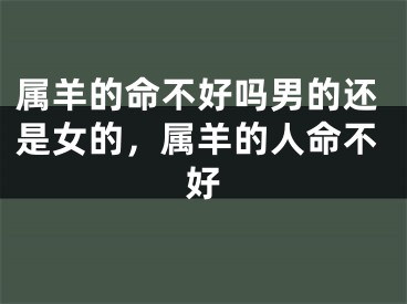 属羊的命不好吗男的还是女的，属羊的人命不好