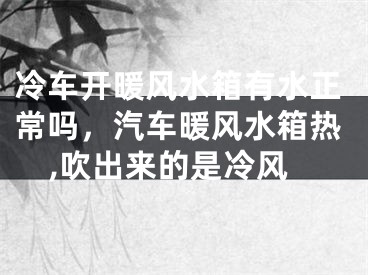 冷车开暖风水箱有水正常吗，汽车暖风水箱热,吹出来的是冷风