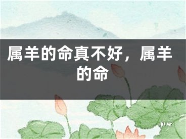 属羊的命真不好，属羊的命