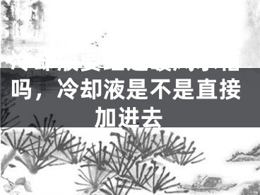 冷却液要经过暖风水箱吗，冷却液是不是直接加进去