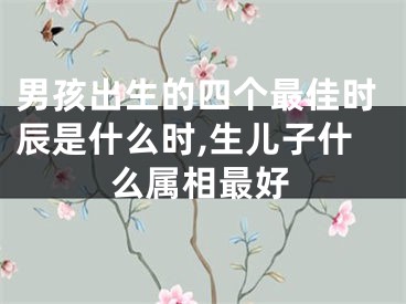 男孩出生的四个最佳时辰是什么时,生儿子什么属相最好