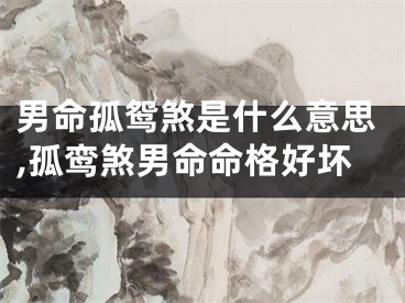 男命孤鸳煞是什么意思,孤鸾煞男命命格好坏