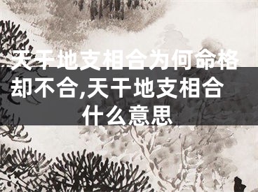 天干地支相合为何命格却不合,天干地支相合什么意思