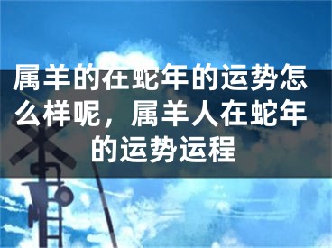 属羊的在蛇年的运势怎么样呢，属羊人在蛇年的运势运程