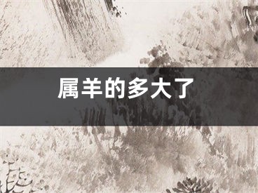 属羊的多大了
