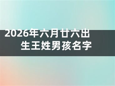 2026年六月廿六出生王姓男孩名字