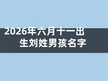 2026年六月十一出生刘姓男孩名字