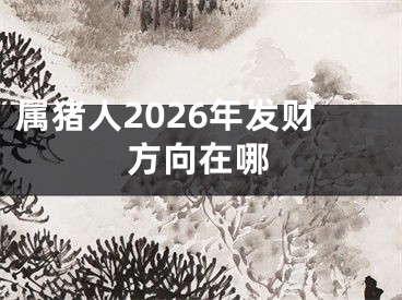 属猪人2026年发财方向在哪