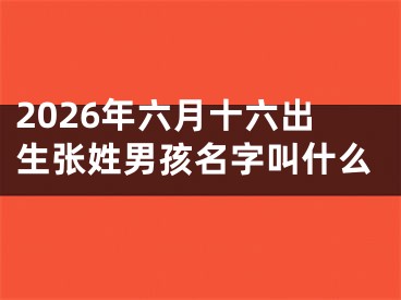 2026年六月十六出生张姓男孩名字叫什么