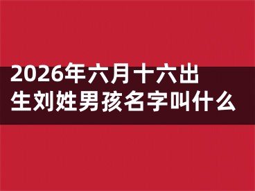 2026年六月十六出生刘姓男孩名字叫什么