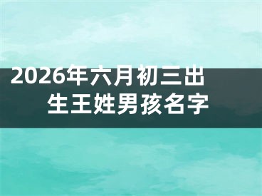 2026年六月初三出生王姓男孩名字