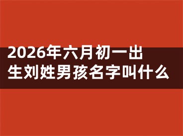 2026年六月初一出生刘姓男孩名字叫什么