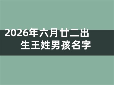 2026年六月廿二出生王姓男孩名字