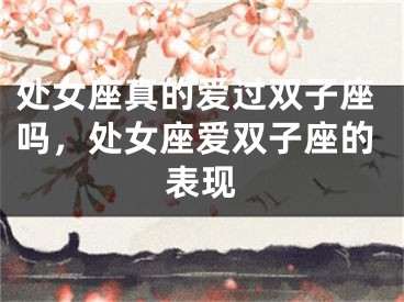 处女座真的爱过双子座吗，处女座爱双子座的表现