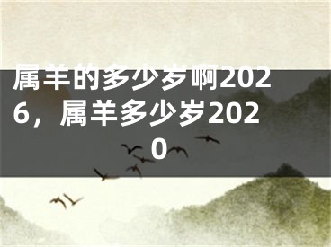 属羊的多少岁啊2026，属羊多少岁2020