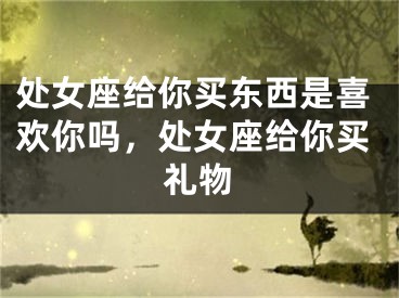 处女座给你买东西是喜欢你吗,处女座给你买礼物
