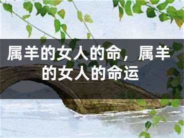 属羊的女人的命，属羊的女人的命运