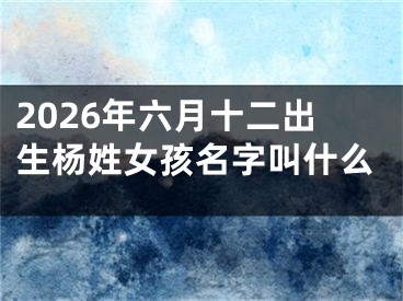 2026年六月十二出生杨姓女孩名字叫什么