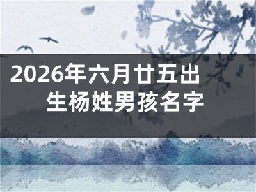2026年六月廿五出生杨姓男孩名字