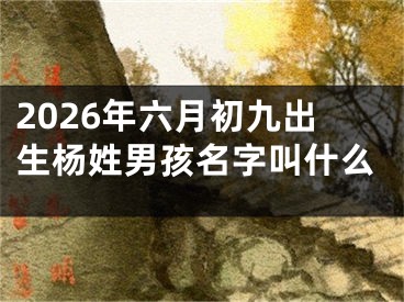 2026年六月初九出生杨姓男孩名字叫什么