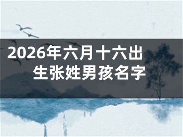 2026年六月十六出生张姓男孩名字