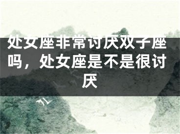 处女座非常讨厌双子座吗,处女座是不是很讨厌