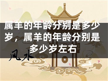 属羊的年龄分别是多少岁，属羊的年龄分别是多少岁左右