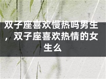 双子座喜欢慢热吗男生，双子座喜欢热情的女生么