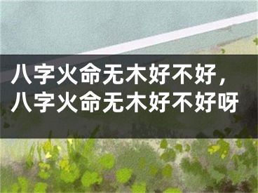 八字火命无木好不好，八字火命无木好不好呀