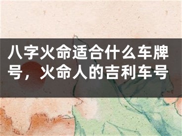 八字火命适合什么车牌号，火命人的吉利车号