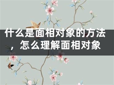 什么是面相对象的方法，怎么理解面相对象