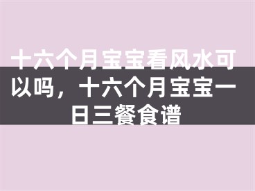 十六个月宝宝看风水可以吗，十六个月宝宝一日三餐食谱
