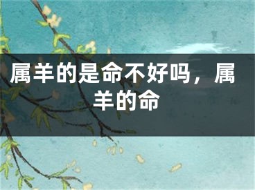 属羊的是命不好吗，属羊的命