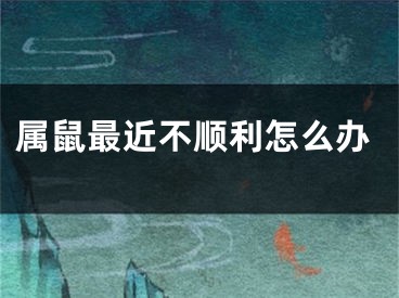 属鼠最近不顺利怎么办