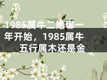 1985属牛二婚哪一年开始，1985属牛五行属木还是金