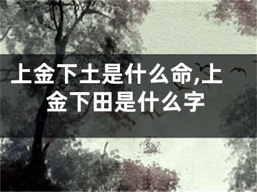 上金下土是什么命,上金下田是什么字
