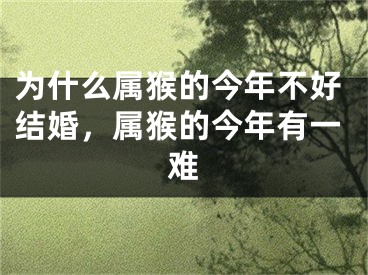 为什么属猴的今年不好结婚，属猴的今年有一难