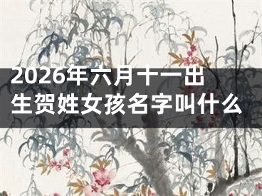 2026年六月十一出生贺姓女孩名字叫什么