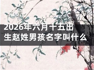 2026年六月十五出生赵姓男孩名字叫什么