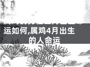 属鸡的男性四月出生命运如何,属鸡4月出生的人命运
